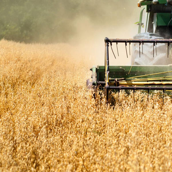 LA CE DEVOLVERÁ ESTE VIERNES 54,8 MILLONES DE EUROS NO GASTADOS A LOS AGRICULTORES ESPAÑOLES