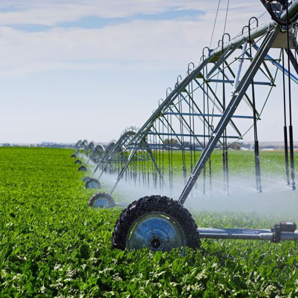 Campaña de riego sin restricciones de agua