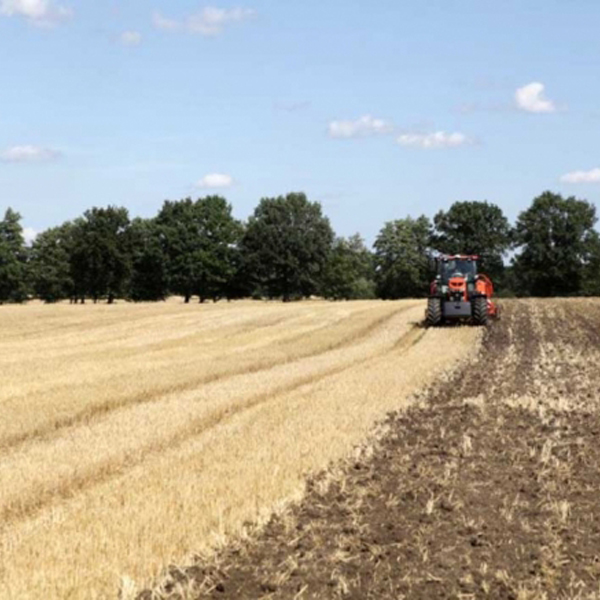 La agricultura española, el difícil equilibrio entre el mercado, el clima y el presupuesto de la PAC