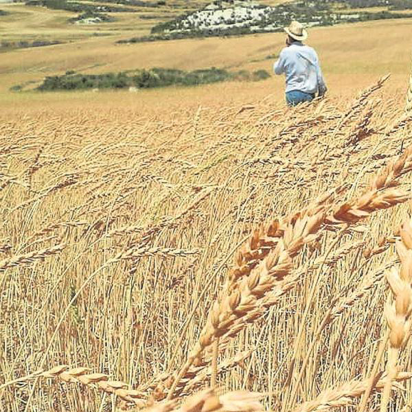 Aragón recibe 22 millones de euros de fondos en agricultura y desarrollo rural